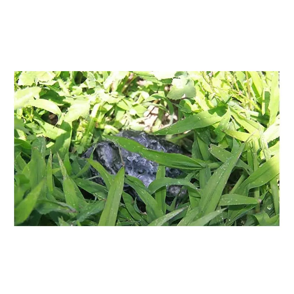 3X Hide A Key Holder Outdoor Rock Set Emergency Storage Spare Hider Safe Novelty