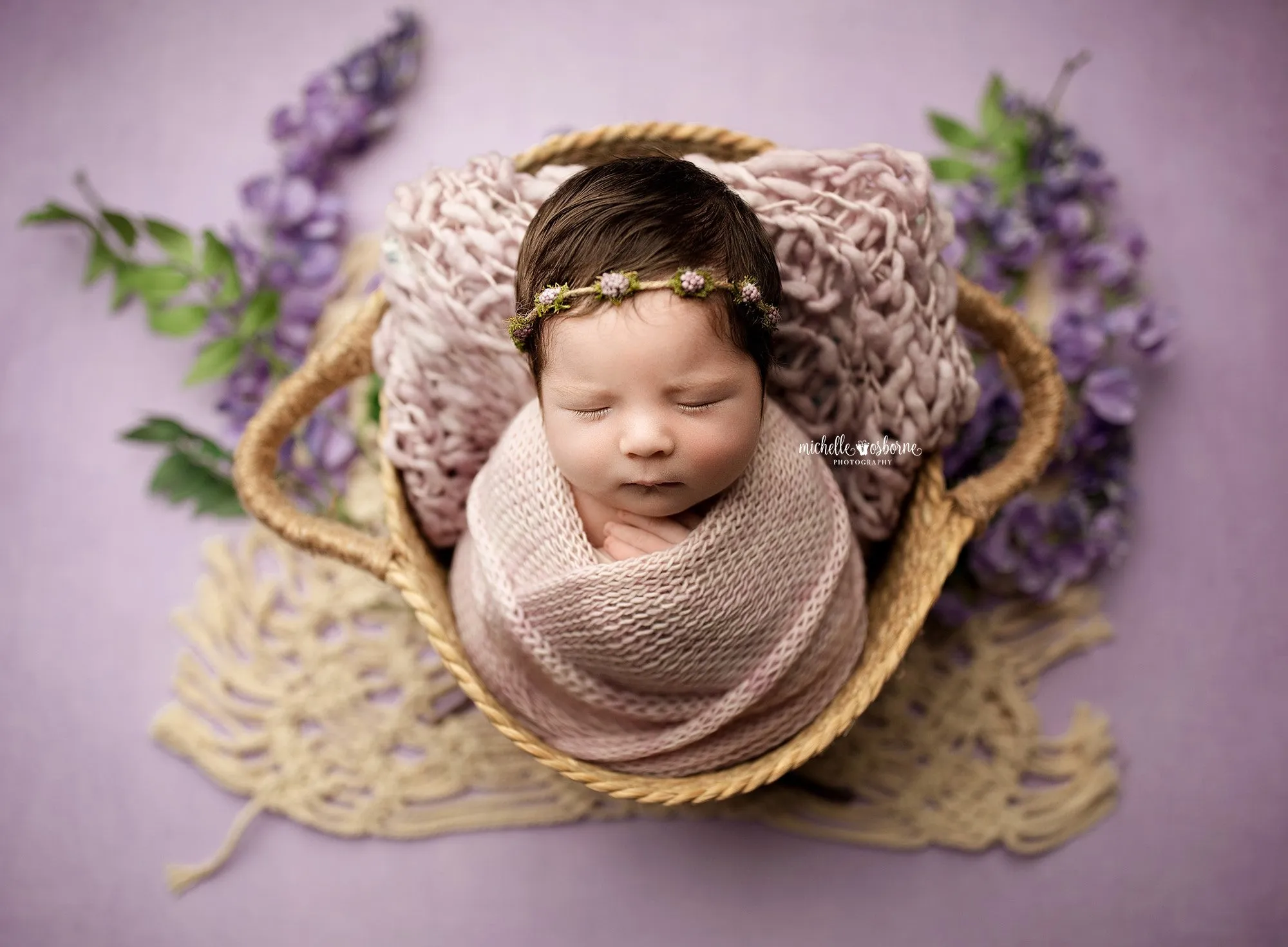 Enchanting Lavender - Petite
