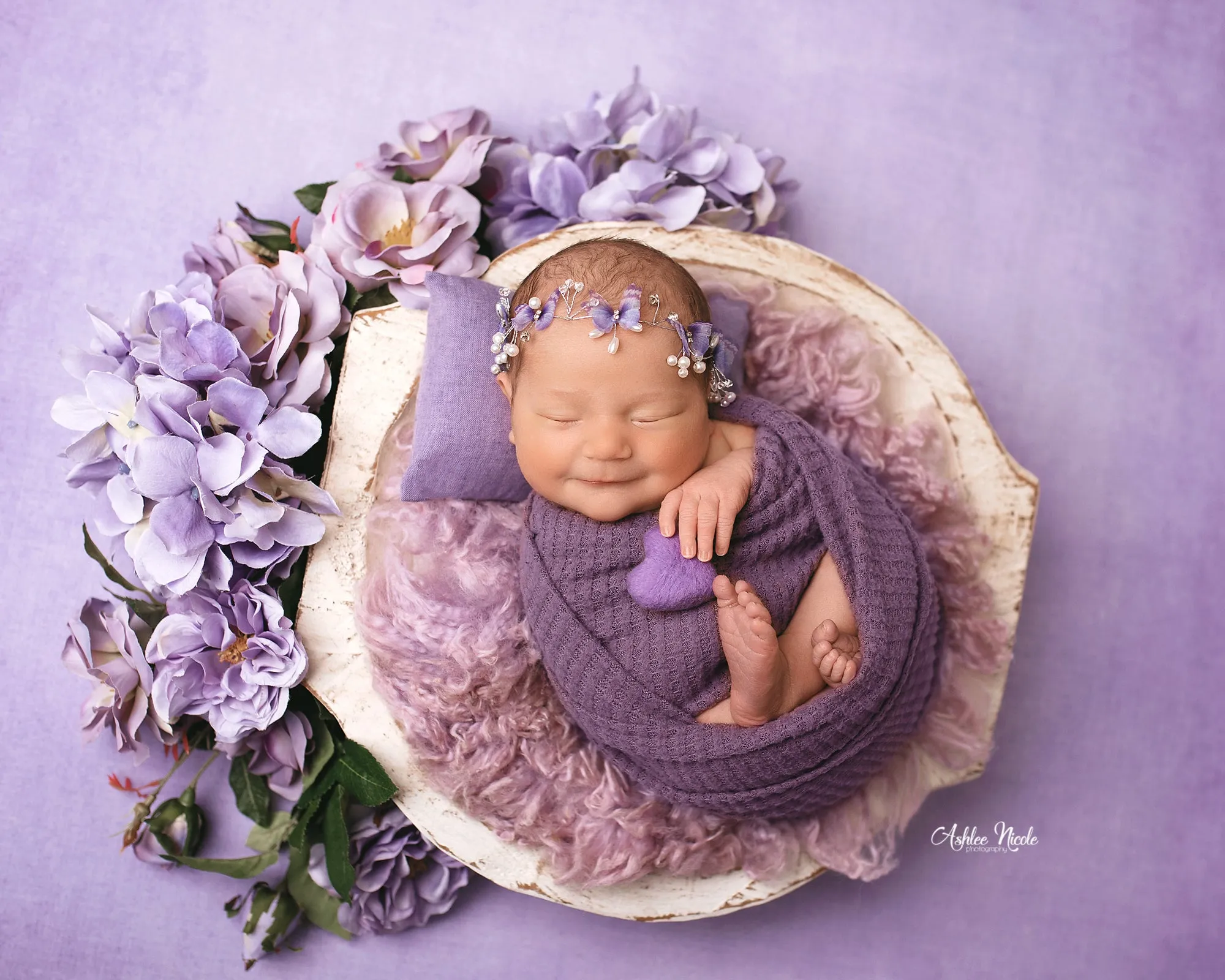 Enchanting Lavender - Petite