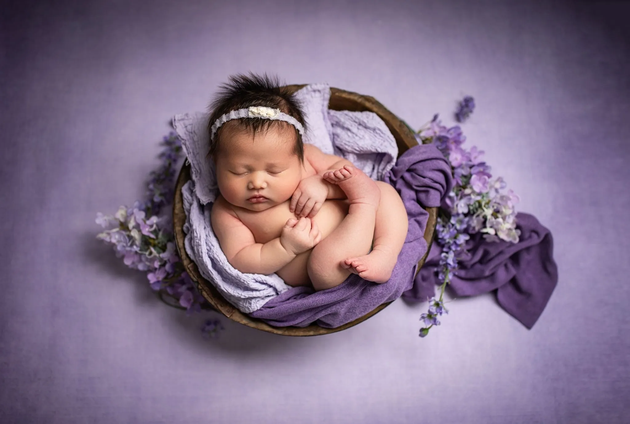 Enchanting Lavender - Petite