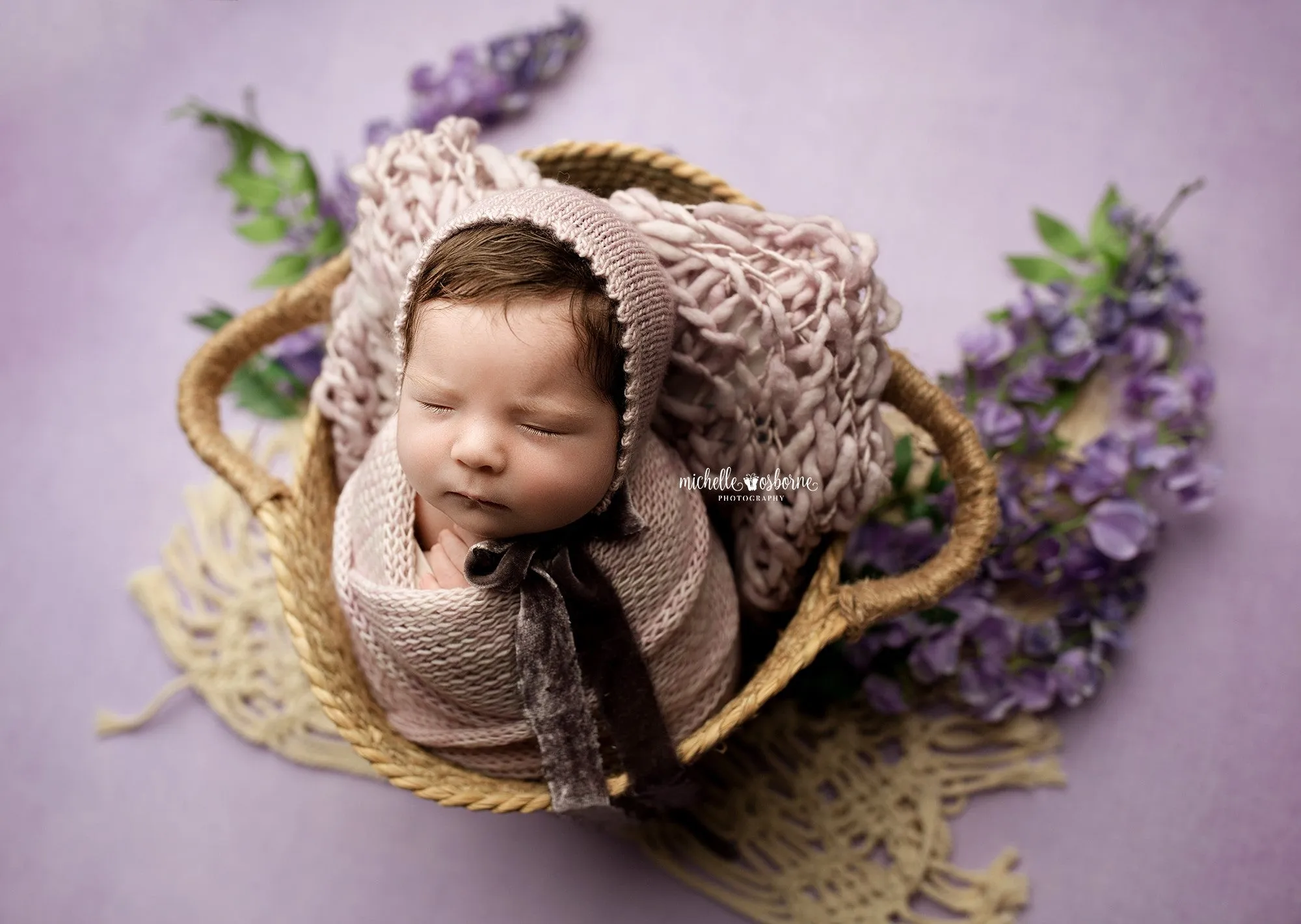 Enchanting Lavender - Petite