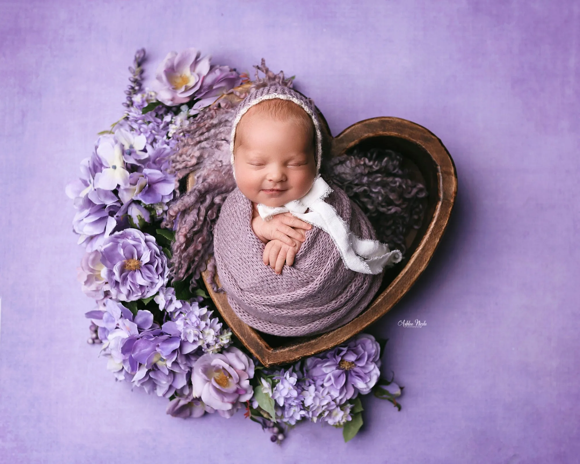 Enchanting Lavender - Petite