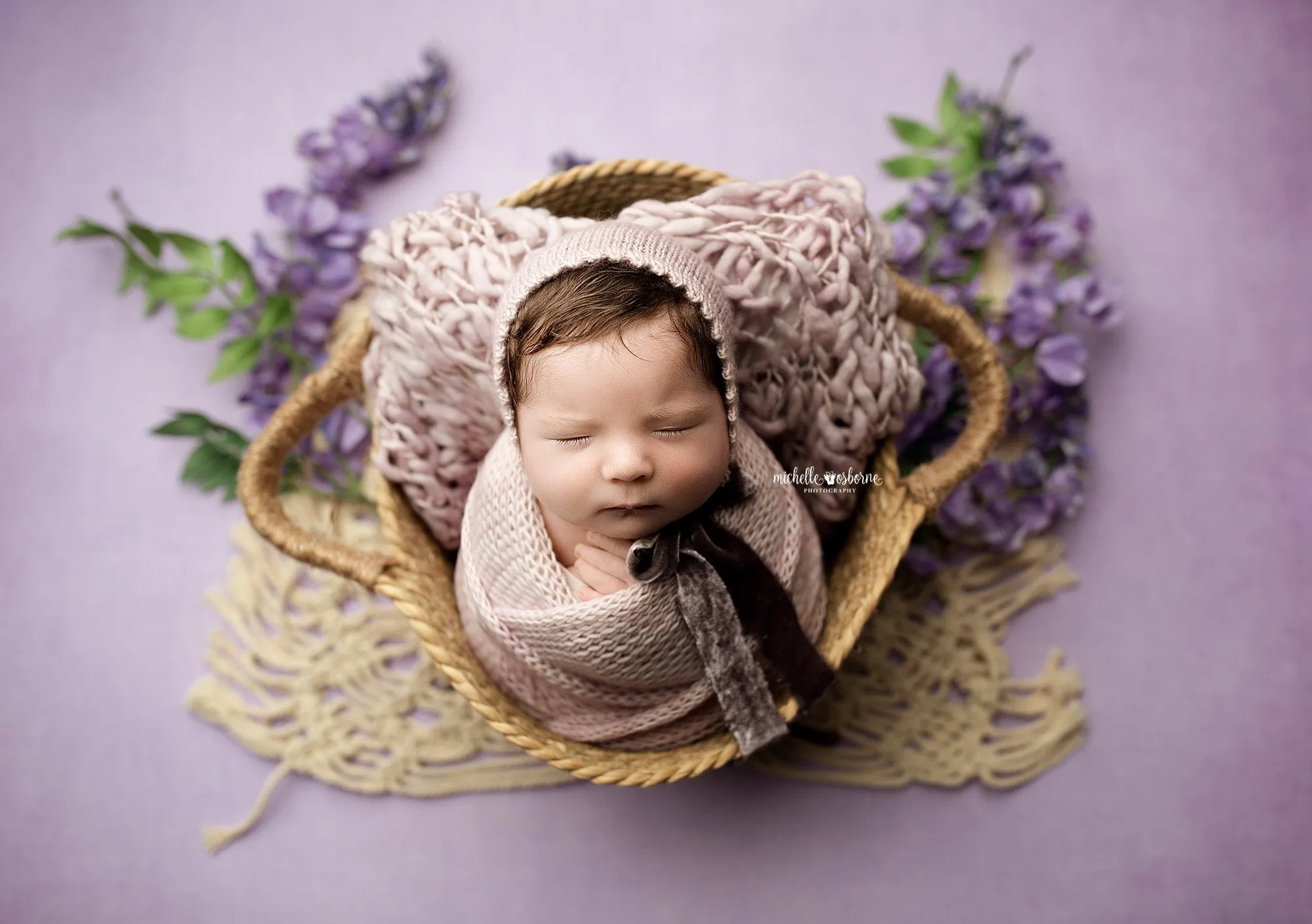 Enchanting Lavender - Petite