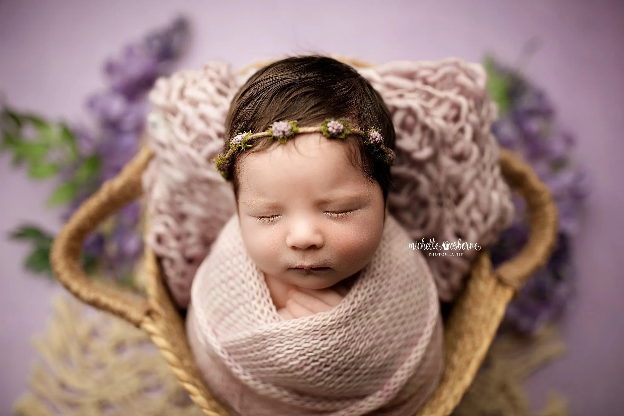 Enchanting Lavender - Petite