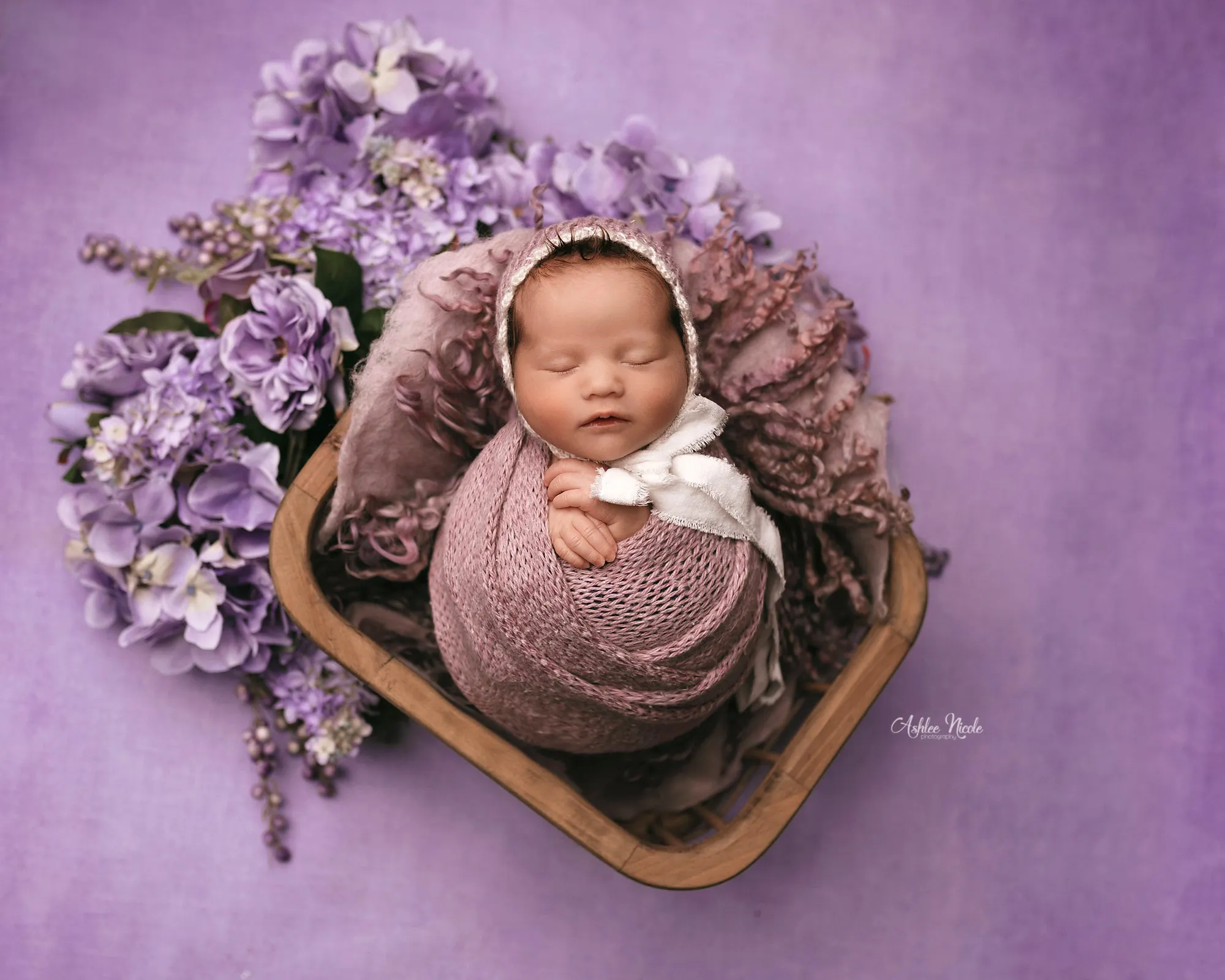 Enchanting Lavender - Petite