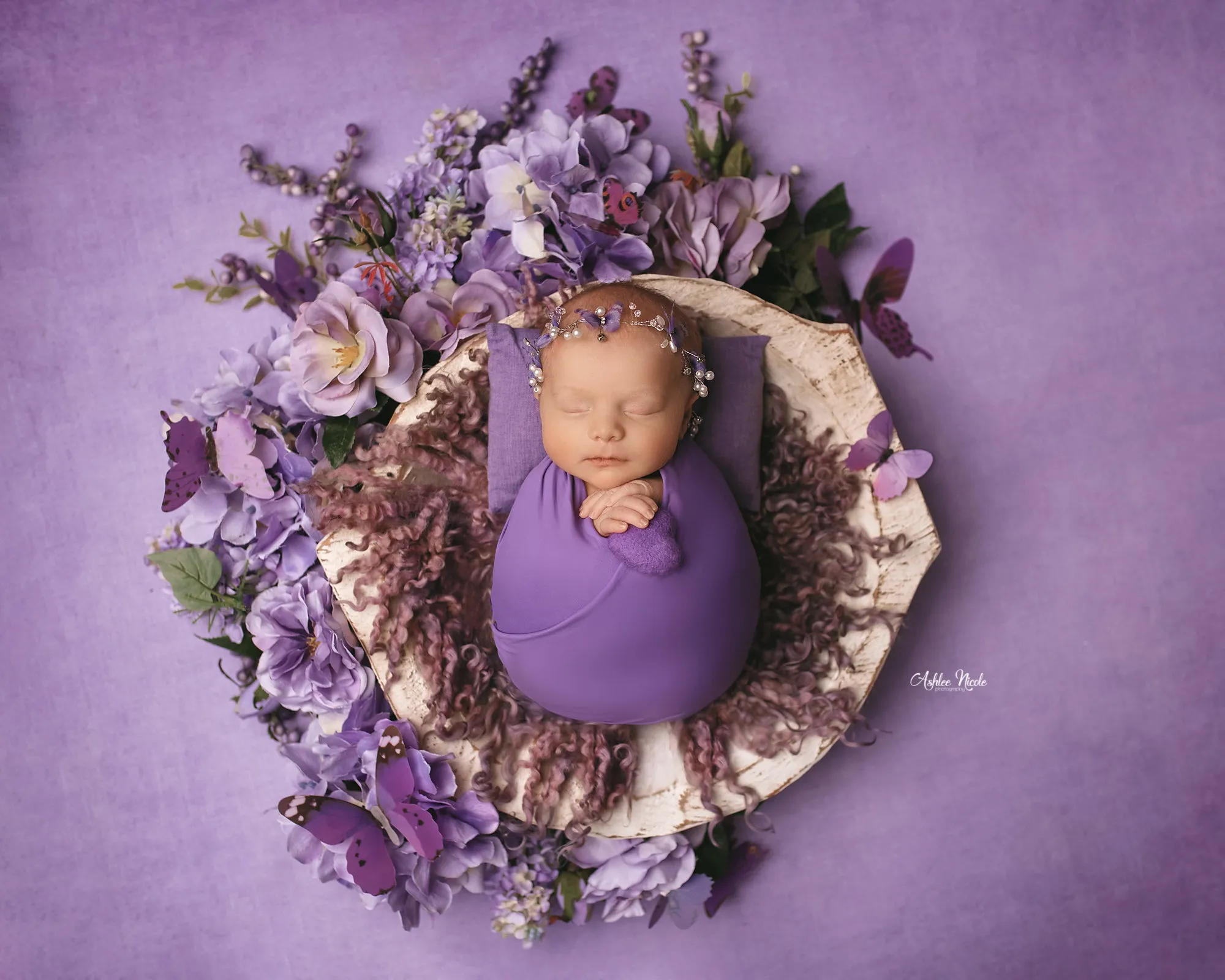 Enchanting Lavender - Petite