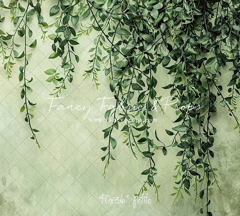 Painted Myrtle - Petite