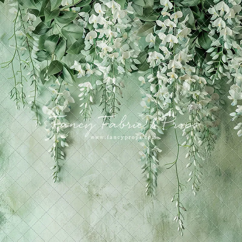Painted White Wisteria - Petite