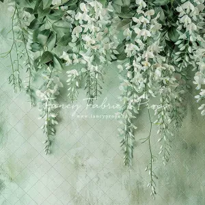 Painted White Wisteria - Petite