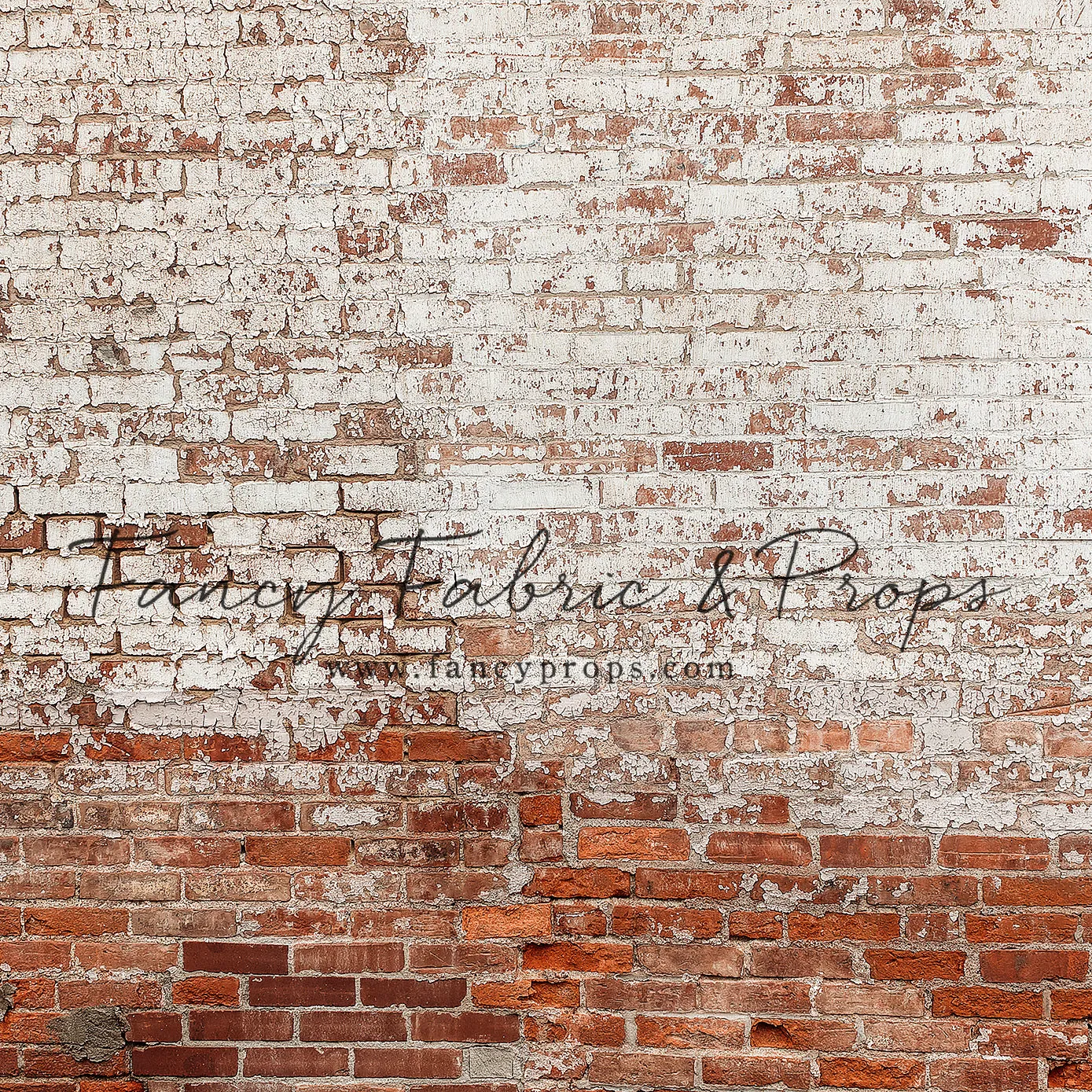 St Louis Brick Wall - Petite